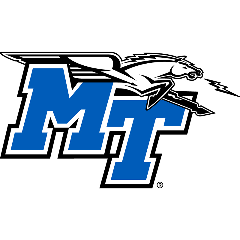 Middle Tennessee Blue Raiders iron ons